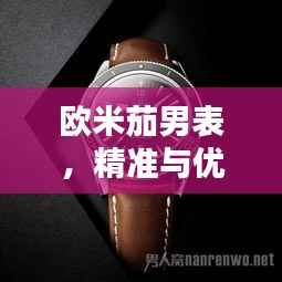 欧米茄男表,精准与优雅的极致融合,价格大揭秘!