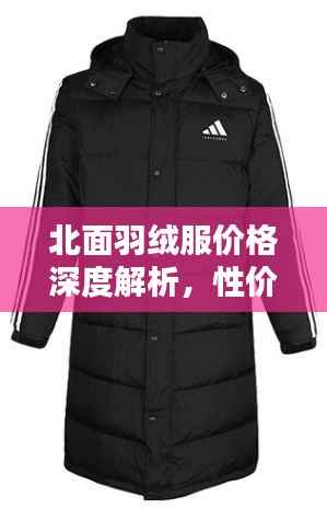 北面羽绒服价格深度解析,性价比与品质并存!