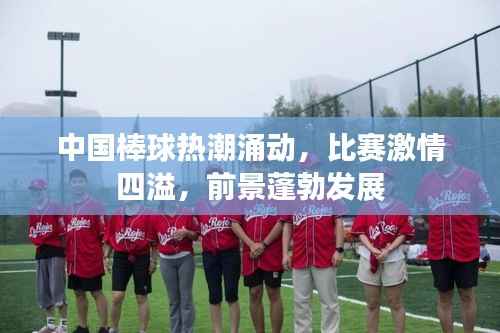 中国棒球热潮涌动，比赛激情四溢，前景蓬勃发展