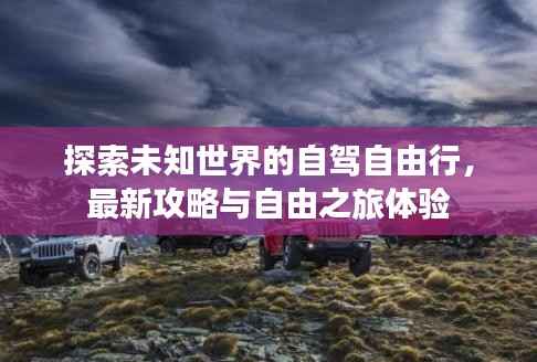 探索未知世界的自驾自由行,最新攻略与自由之旅体验