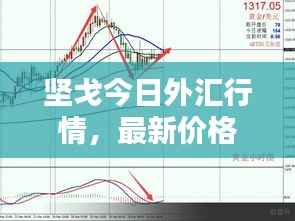 坚戈今日外汇行情,最新价格及走势分析