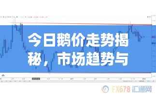 今日鹅价走势揭秘,市场趋势与影响因素深度解析