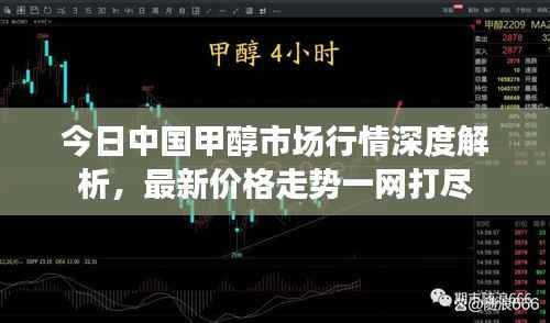 今日中国甲醇市场行情深度解析,最新价格走势一网打尽