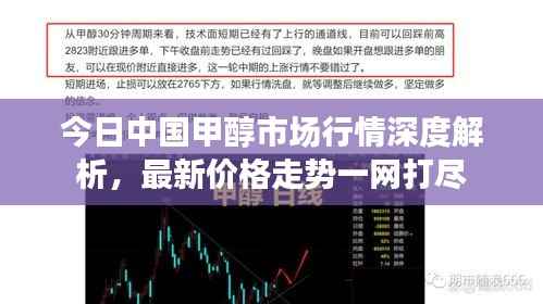 今日中国甲醇市场行情深度解析,最新价格走势一网打尽