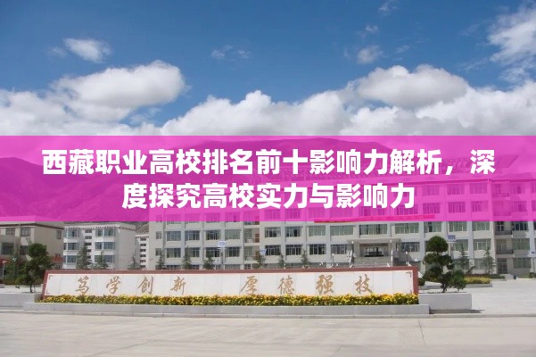 西藏职业高校排名前十影响力解析,深度探究高校实力与影响力