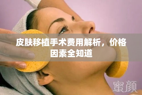 皮肤移植手术费用解析,价格因素全知道