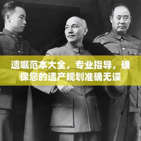 遗嘱范本大全,专业指导,确保您的遗产规划准确无误