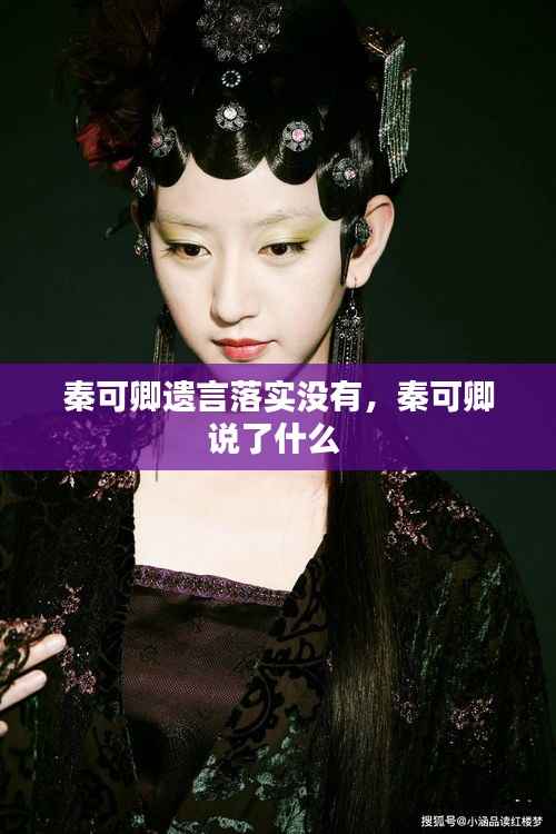 秦可卿遗言落实没有,秦可卿说了什么