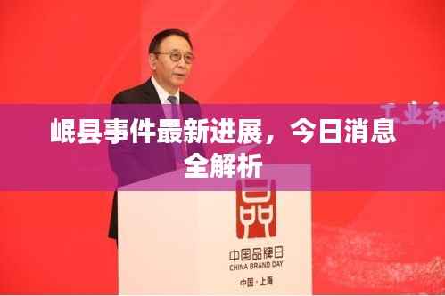 岷县事件最新进展，今日消息全解析