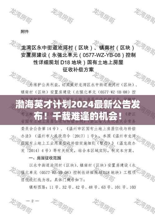 渤海英才计划2024最新公告发布!千载难逢的机会!