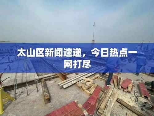 太山区新闻速递,今日热点一网打尽