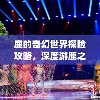 鹿的奇幻世界探险攻略,深度游鹿之旅