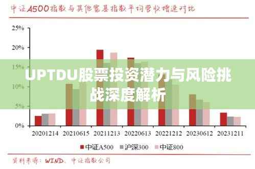 UPTDU股票投资潜力与风险挑战深度解析