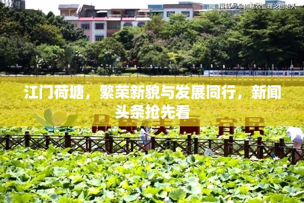 江门荷塘,繁荣新貌与发展同行,新闻头条抢先看