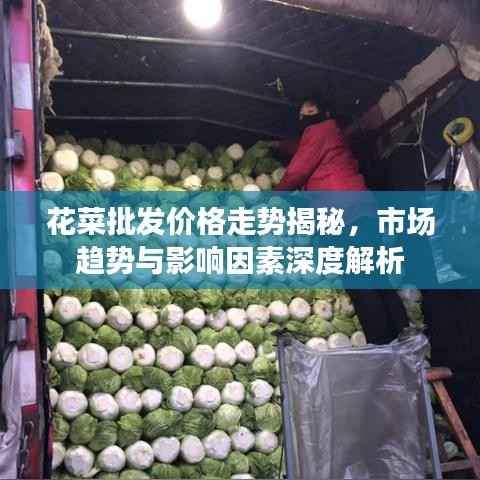 花菜批发价格走势揭秘,市场趋势与影响因素深度解析