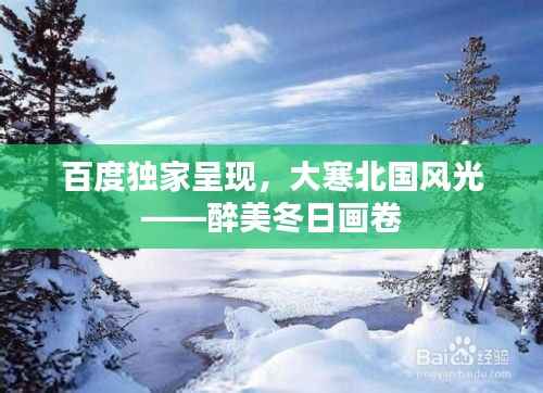 百度独家呈现,大寒北国风光——醉美冬日画卷