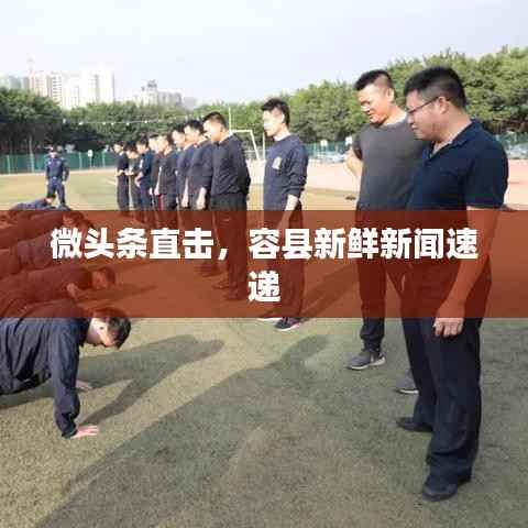微头条直击,容县新鲜新闻速递