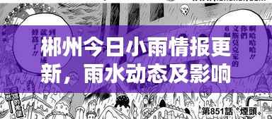 郴州今日小雨情报更新,雨水动态及影响分析