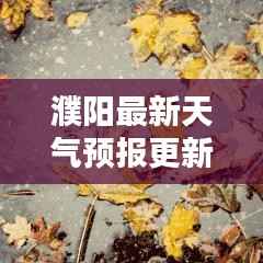 濮阳最新天气预报更新,今日天气情况一览
