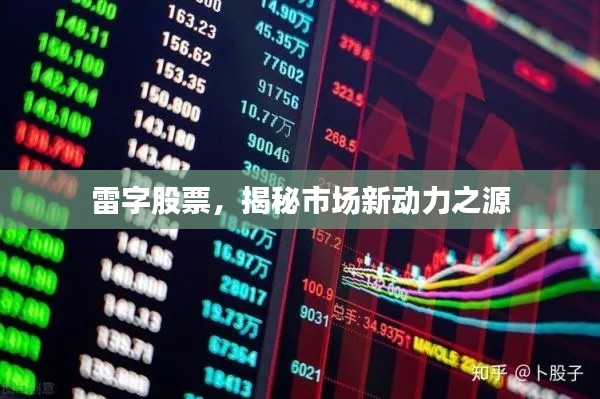 雷字股票,揭秘市场新动力之源