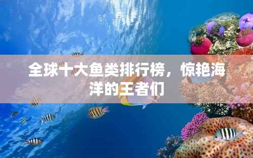 全球十大鱼类排行榜，惊艳海洋的王者们