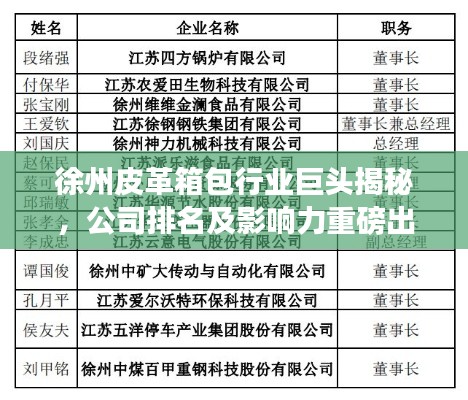 徐州皮革箱包行业巨头揭秘,公司排名及影响力重磅出炉!