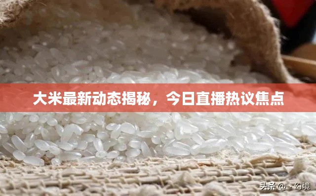 大米最新动态揭秘,今日直播热议焦点