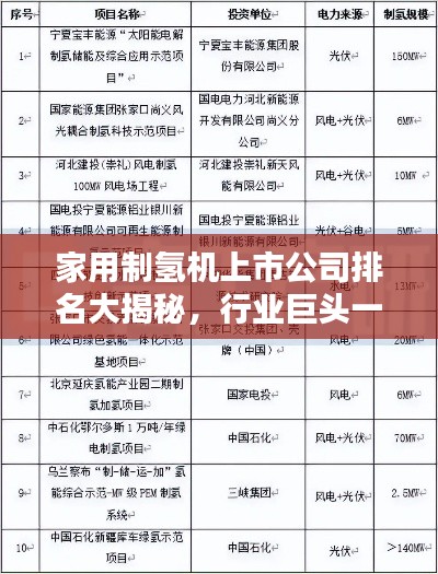 家用制氢机上市公司排名大揭秘,行业巨头一览无遗!