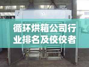 循环烘箱公司行业排名及佼佼者深度解析