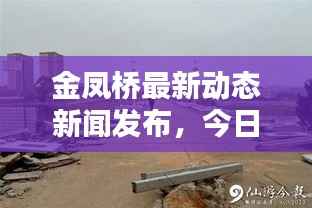 金凤桥最新动态新闻发布,今日消息一网打尽!
