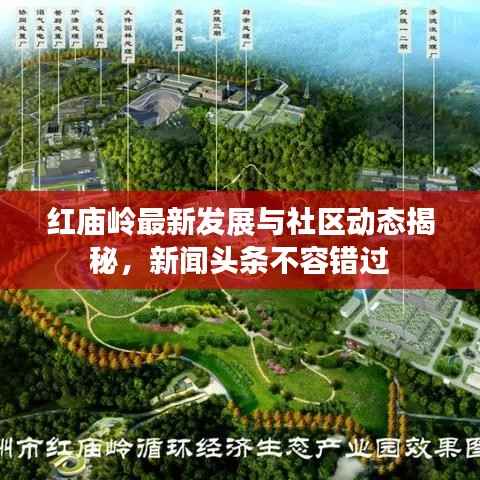 红庙岭最新发展与社区动态揭秘,新闻头条不容错过