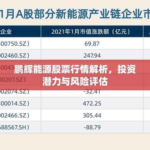 鹏辉能源股票行情解析,投资潜力与风险评估