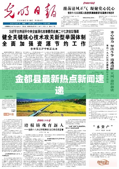 金都县最新热点新闻速递