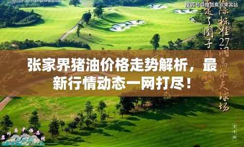 张家界猪油价格走势解析,最新行情动态一网打尽!