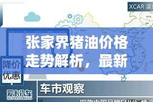 张家界猪油价格走势解析,最新行情动态一网打尽!