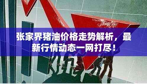 张家界猪油价格走势解析,最新行情动态一网打尽!