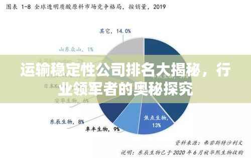 运输稳定性公司排名大揭秘,行业领军者的奥秘探究