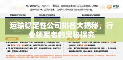 运输稳定性公司排名大揭秘,行业领军者的奥秘探究