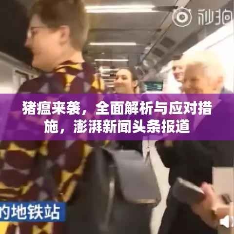 猪瘟来袭，全面解析与应对措施，澎湃新闻头条报道