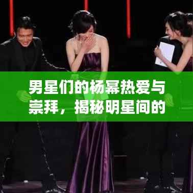 男星们的杨幂热爱与崇拜,揭秘明星间的追星情缘