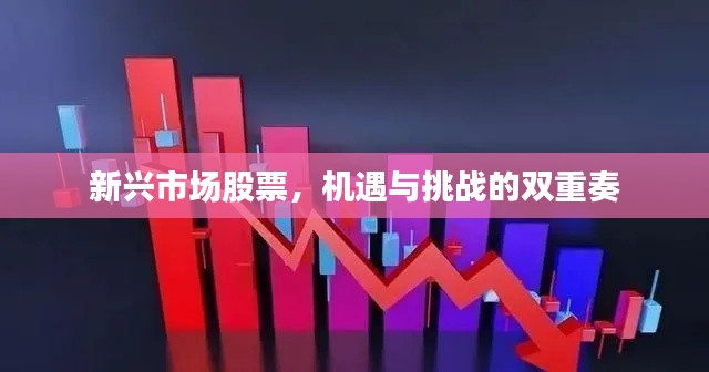 新兴市场股票,机遇与挑战的双重奏