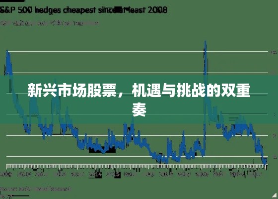 新兴市场股票,机遇与挑战的双重奏