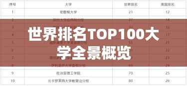 世界排名TOP100大学全景概览