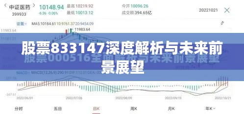 股票833147深度解析与未来前景展望