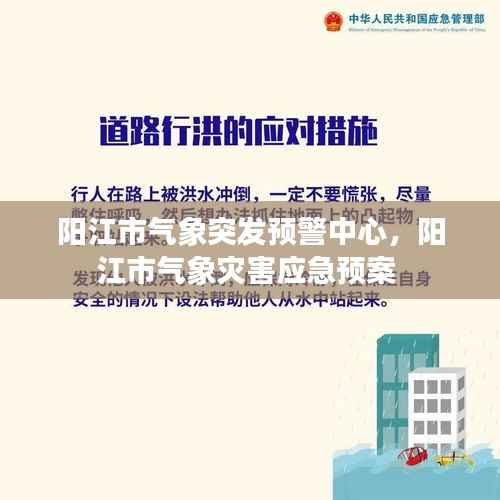 阳江市气象突发预警中心,阳江市气象灾害应急预案