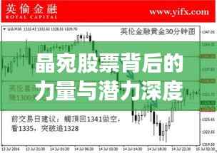 晶宛股票背后的力量与潜力深度探究