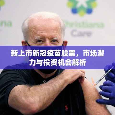 新上市新冠疫苗股票,市场潜力与投资机会解析