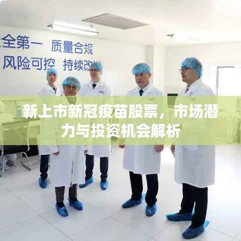 新上市新冠疫苗股票,市场潜力与投资机会解析