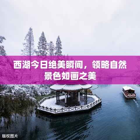 西湖今日绝美瞬间,领略自然景色如画之美