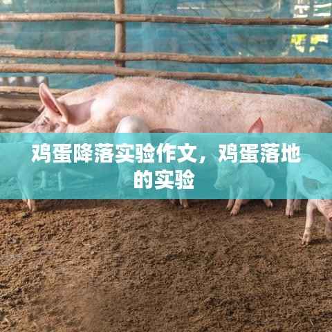 竭尽全力 第3页